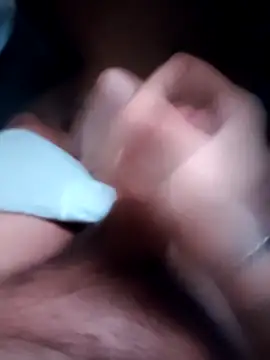 gatocamsp online show from March 29, 2026, 9:09 am