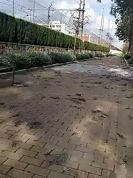 mehdi-l7away online show from March 9, 2026, 3:05 pm