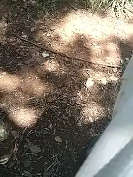 mehdi-l7away online show from April 16, 2026, 12:06 pm