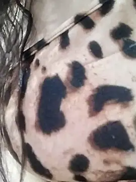 Cristina sexy maroc online show from January 31, 2026, 11:47 pm