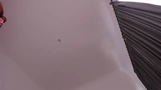 Timissi online show from February 14, 2026, 2:19 am