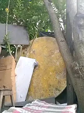 Snapshot of Natasha_olg chatting on January 13, 2025, 2:11 pm Natasha olg online show from January 13, 2025, 2:11 pm