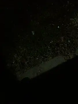 Nicusorescu26 online show from October 14, 2025, 3:18 am