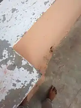 PracticalGum40 online show from February 21, 2026, 3:07 am