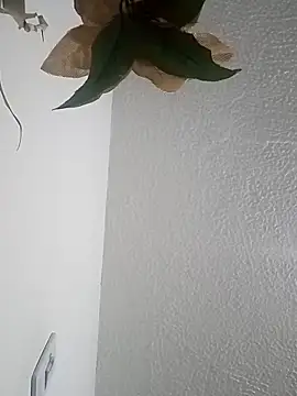 Naomy veracruz  online show from April 12, 2026, 11:04 am