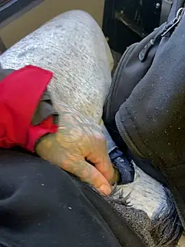 Snapshot of Fuckboy4public chatting on December 29, 2024, 4:08 pm Fuckboy4public online show from December 29, 2024, 4:08 pm