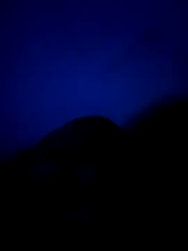 Lalokhalifo online show from December 4, 2024, 9:51 am