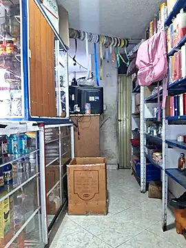 nidia2026 online show from February 14, 2026, 1:08 pm