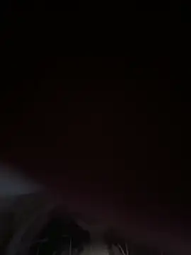 Snapshot of shyfr34k chatting on December 29, 2024, 4:27 am shyfr34k online show from December 29, 2024, 4:27 am