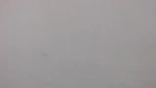 danilo302209 online show from January 27, 2025, 3:07 pm