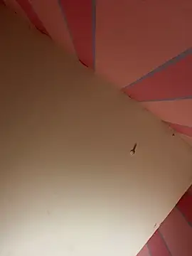 mikeJak online show from March 23, 2025, 7:09 am