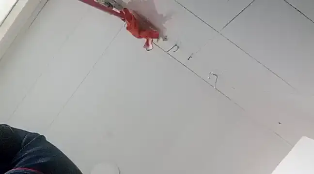 Darly Gomez online show from January 2, 2025, 10:33 pm