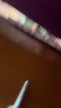 Snapshot of nick__yy chatting on February 19, 2026, 5:03 am nick yy online show from February 19, 2026, 5:03 am