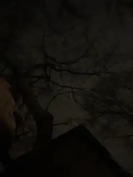 Snapshot of -yakimov- chatting on January 31, 2026, 7:34 pm -yakimov- online show from January 31, 2026, 7:34 pm