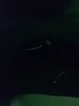 thanos65432 online show from March 18, 2026, 5:32 am