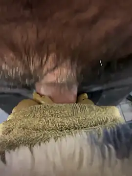 edgher646 online show from April 25, 2026, 12:46 am