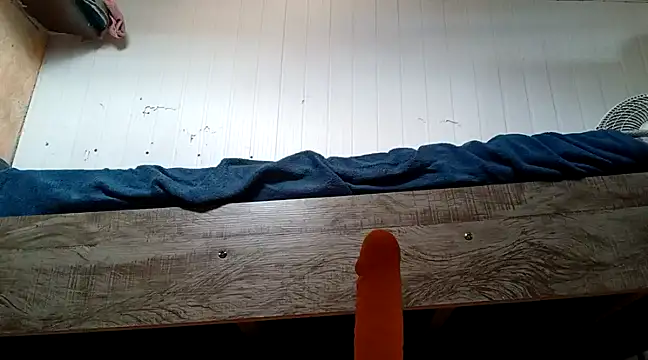 frotasso online show from January 22, 2025, 10:40 am