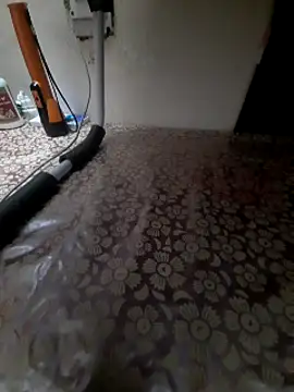 Ritikdesi online show from March 14, 2025, 3:58 pm