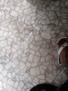 Pretordr online show from March 12, 2025, 9:02 am