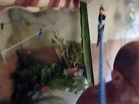 Snapshot of soy_5 chatting on September 10, 2025, 8:53 pm soy 5 online show from September 10, 2025, 8:53 pm