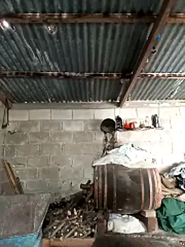 Eleni Pappa online show from March 18, 2026, 8:39 am