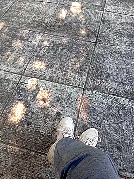 Eleni Pappa online show from April 4, 2026, 7:50 am