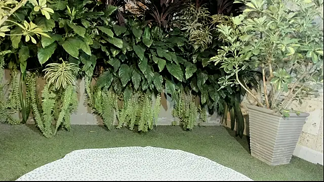 loladupont online show from September 10, 2025, 3:06 am