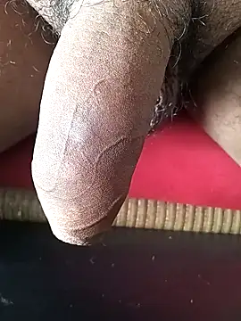 Snapshot of Arasu_ chatting on February 1, 2025, 10:48 am Arasu online show from February 1, 2025, 10:48 am