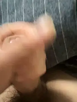 toto3119 online show from February 18, 2025, 2:49 pm