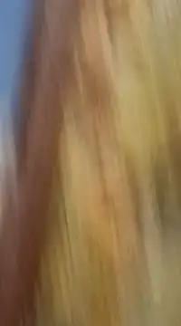 Snapshot of mksharma-mastlund chatting on January 21, 2025, 3:48 am mksharma-mastlund online show from January 21, 2025, 3:48 am