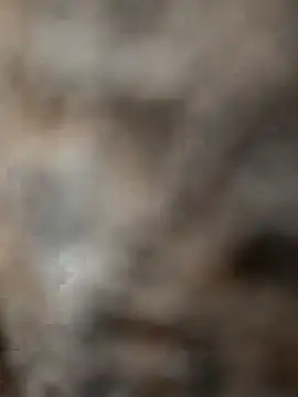 Snapshot of mksharma-mastlund chatting on January 24, 2025, 4:05 am mksharma-mastlund online show from January 24, 2025, 4:05 am