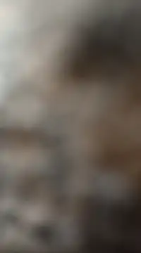 Snapshot of mksharma-mastlund chatting on January 27, 2025, 3:47 am mksharma-mastlund online show from January 27, 2025, 3:47 am