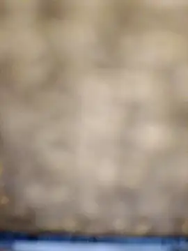 618fuckupp online show from October 27, 2025, 11:25 am