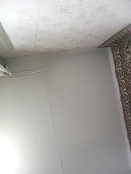 Lauren Amabel online show from November 12, 2025, 8:30 pm