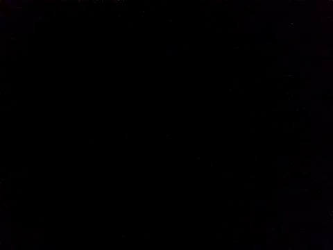 Lauren Amabel online show from November 24, 2025, 8:14 am