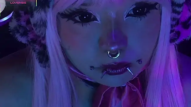 LaytonBox online show from March 24, 2026, 2:11 pm