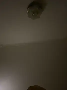                     88 online show from March 7, 2026, 4:15 pm