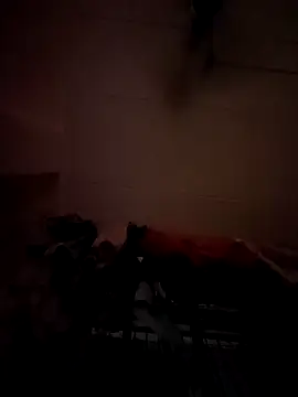 opkiller901 online show from January 12, 2025, 10:01 pm