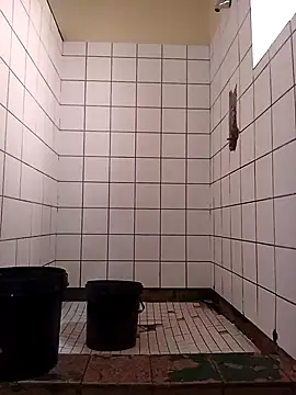 Snapshot of Dube501 chatting on November 17, 2025, 5:46 am Dube501 online show from November 17, 2025, 5:46 am