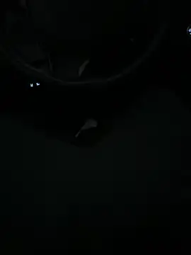 DutchPublic online show from January 19, 2025, 4:36 pm