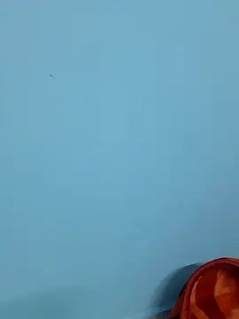 Divya-2007 online show from February 7, 2025, 12:06 pm