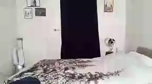 alexandrezeke online show from February 27, 2025, 10:37 am