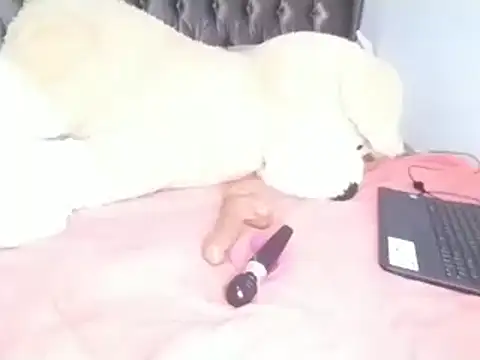 Chandy012 online show from April 8, 2026, 6:13 am