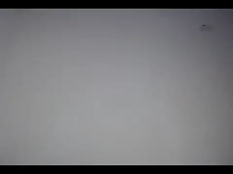 lana roman online show from March 4, 2025, 12:22 pm