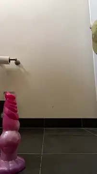 Snapshot of Prolapse_Pig chatting on April 6, 2026, 5:36 pm Prolapse Pig online show from April 6, 2026, 5:36 pm