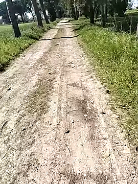 arveia online show from April 4, 2026, 12:57 pm