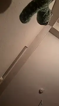 RaviRoy2326 online show from March 1, 2025, 8:10 pm