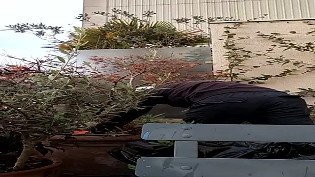 Snapshot of Vyda4 chatting on November 17, 2025, 8:31 am Vyda4 online show from November 17, 2025, 8:31 am