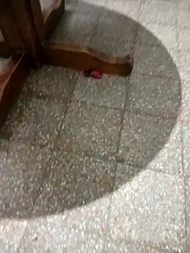 Snapshot of parejarica420 chatting on March 6, 2026, 8:38 pm parejarica420 online show from March 6, 2026, 8:38 pm