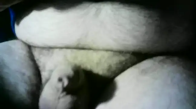 Snapshot of Azrael_12 chatting on January 30, 2025, 4:34 pm Azrael 12 online show from January 30, 2025, 4:34 pm